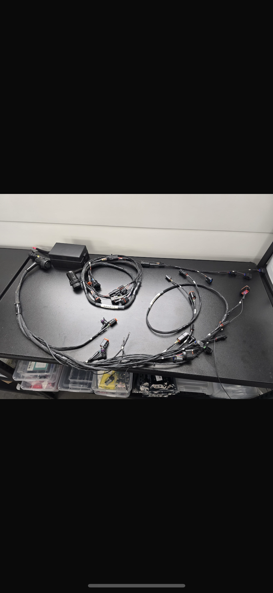 Area 51 wiring harness b series ft550